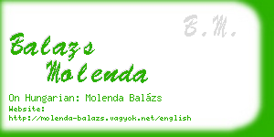 balazs molenda business card